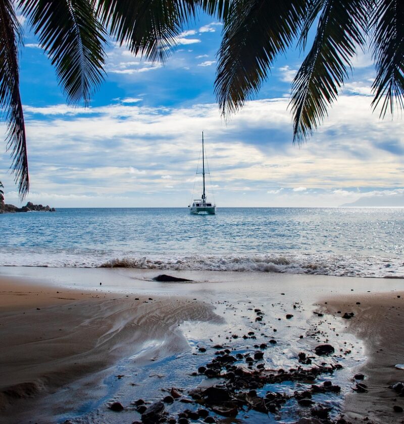 d&eacute;couvrez l'univers du catamaran : navigation, confort et aventures en mer sous toutes les latitudes.