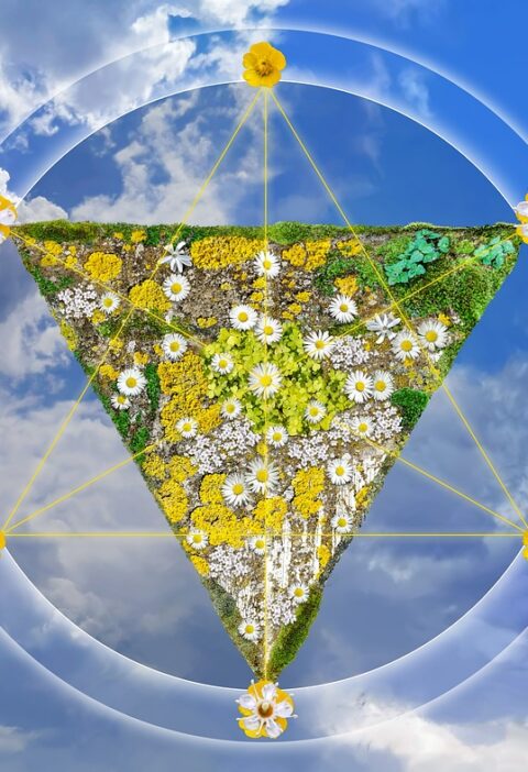 d&eacute;couvrez crystal union, leader fran&ccedil;ais dans la production de sucre et de produits &agrave; base de betterave, engag&eacute; dans une agriculture durable et responsable.