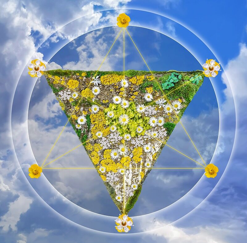 d&eacute;couvrez crystal union, leader fran&ccedil;ais dans la production de sucre et de produits &agrave; base de betterave, engag&eacute; dans une agriculture durable et responsable.