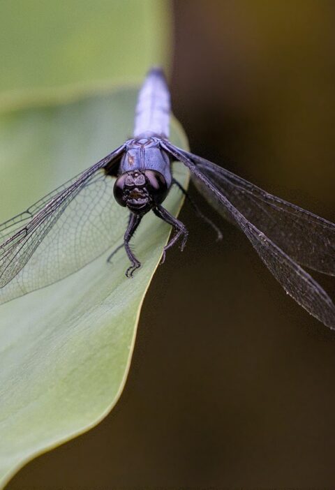 d&eacute;couvrez les pratiques d'&eacute;dition &eacute;co-responsables qui r&eacute;duisent l'impact environnemental tout en valorisant la qualit&eacute; et la durabilit&eacute; des publications.