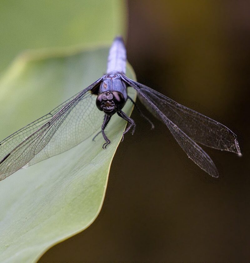 d&eacute;couvrez les pratiques d'&eacute;dition &eacute;co-responsables qui r&eacute;duisent l'impact environnemental tout en valorisant la qualit&eacute; et la durabilit&eacute; des publications.