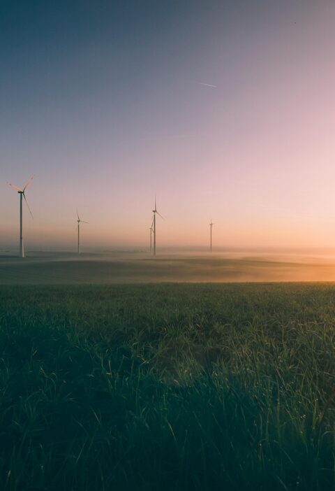 d&eacute;couvrez les enjeux environnementaux actuels et les solutions pour pr&eacute;server notre plan&egrave;te et assurer un avenir durable.