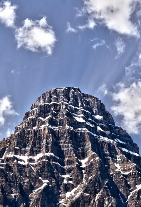 d&eacute;couvrez les actions et initiatives engag&eacute;es dans l'activisme environnemental pour prot&eacute;ger la plan&egrave;te et promouvoir un d&eacute;veloppement durable.