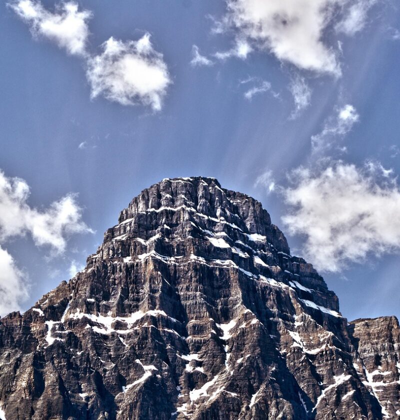 d&eacute;couvrez les actions et initiatives engag&eacute;es dans l'activisme environnemental pour prot&eacute;ger la plan&egrave;te et promouvoir un d&eacute;veloppement durable.