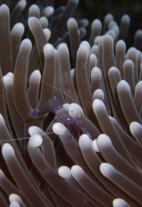 d&eacute;couvrez l'art de l'immersion : une exp&eacute;rience profonde et captivante qui vous plonge au c&oelig;ur d'un univers unique.