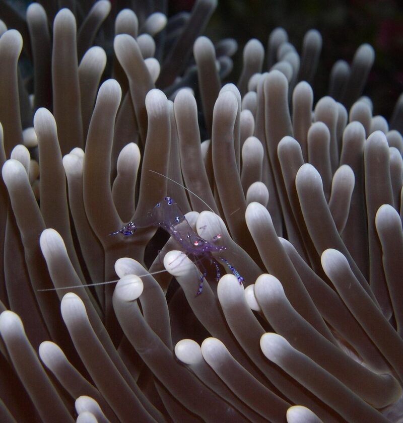 d&eacute;couvrez l'art de l'immersion : une exp&eacute;rience profonde et captivante qui vous plonge au c&oelig;ur d'un univers unique.