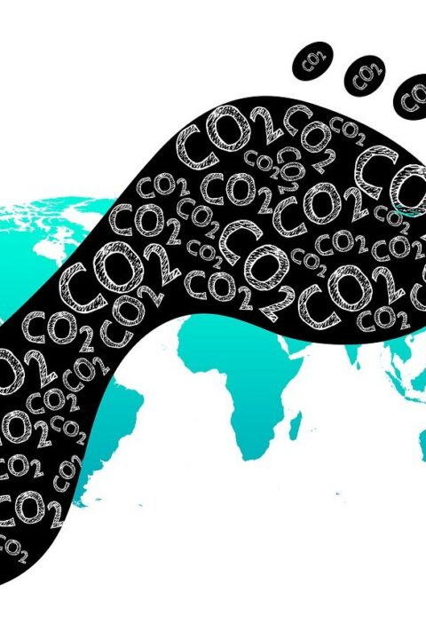 d&eacute;couvrez les efforts et initiatives du japon pour r&eacute;duire les &eacute;missions de gaz &agrave; effet de serre et lutter contre le changement climatique.