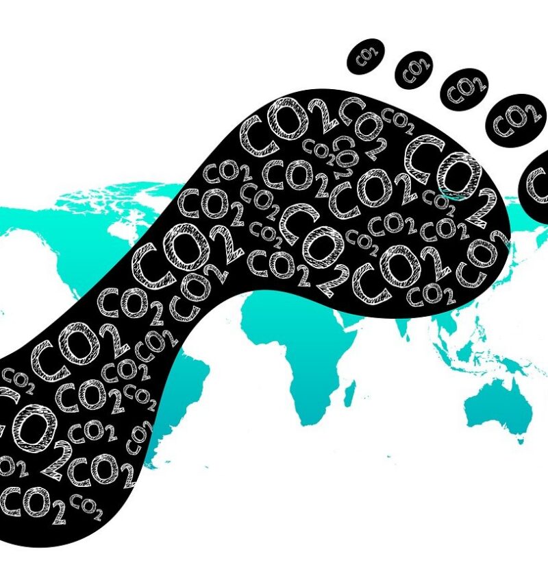 découvrez les efforts et initiatives du japon pour réduire les émissions de gaz à effet de serre et lutter contre le changement climatique.