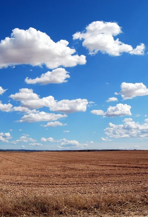 d&eacute;couvrez les solutions innovantes pour atteindre z&eacute;ro artificialisation des sols et pr&eacute;server la biodiversit&eacute; naturelle tout en favorisant un am&eacute;nagement durable.