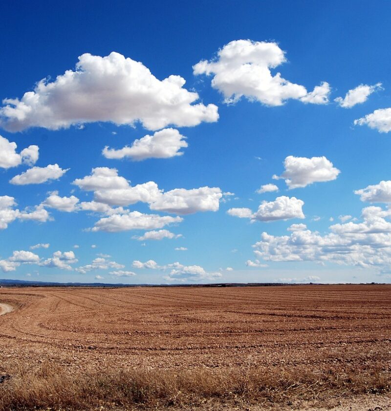 d&eacute;couvrez les solutions innovantes pour atteindre z&eacute;ro artificialisation des sols et pr&eacute;server la biodiversit&eacute; naturelle tout en favorisant un am&eacute;nagement durable.