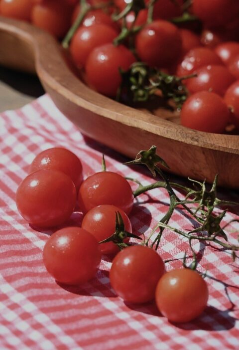 tuteur pour plants de tomates, con&ccedil;u pour soutenir et prot&eacute;ger vos tomates pendant leur croissance, garantissant une r&eacute;colte abondante et de qualit&eacute;.