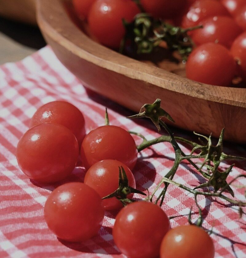 tuteur pour plants de tomates, con&ccedil;u pour soutenir et prot&eacute;ger vos tomates pendant leur croissance, garantissant une r&eacute;colte abondante et de qualit&eacute;.